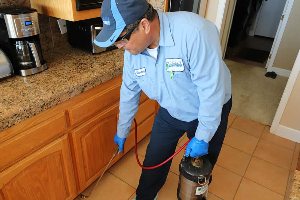 pest control technician spraying residential home for preventative maintenance